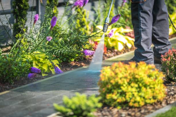 Best Winterizing Services  in Candor, NC